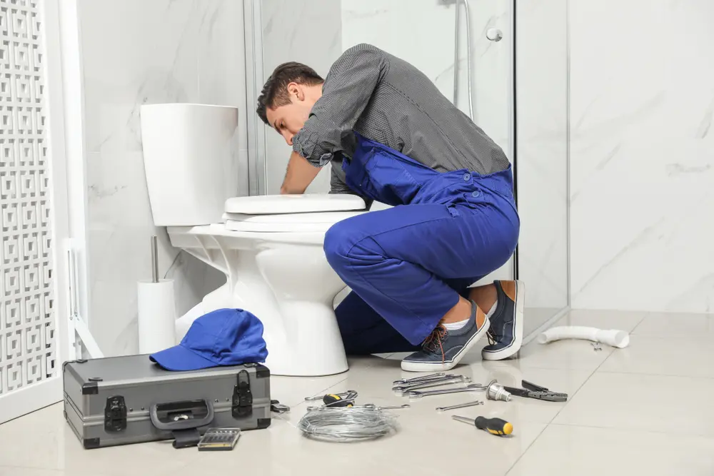 Toilet Repair in Chaparrito